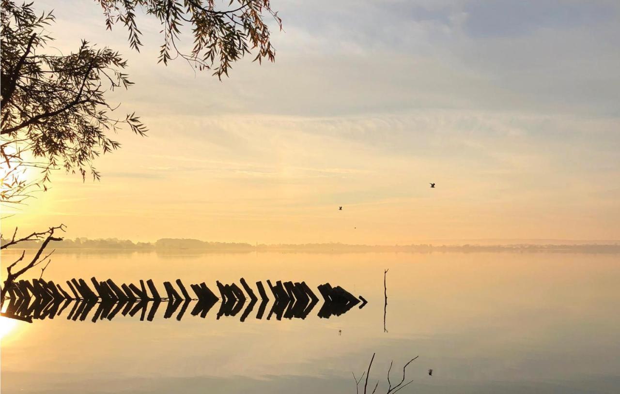 Amazing Home In Lembruch-Duemmer See With Sauna 外观 照片